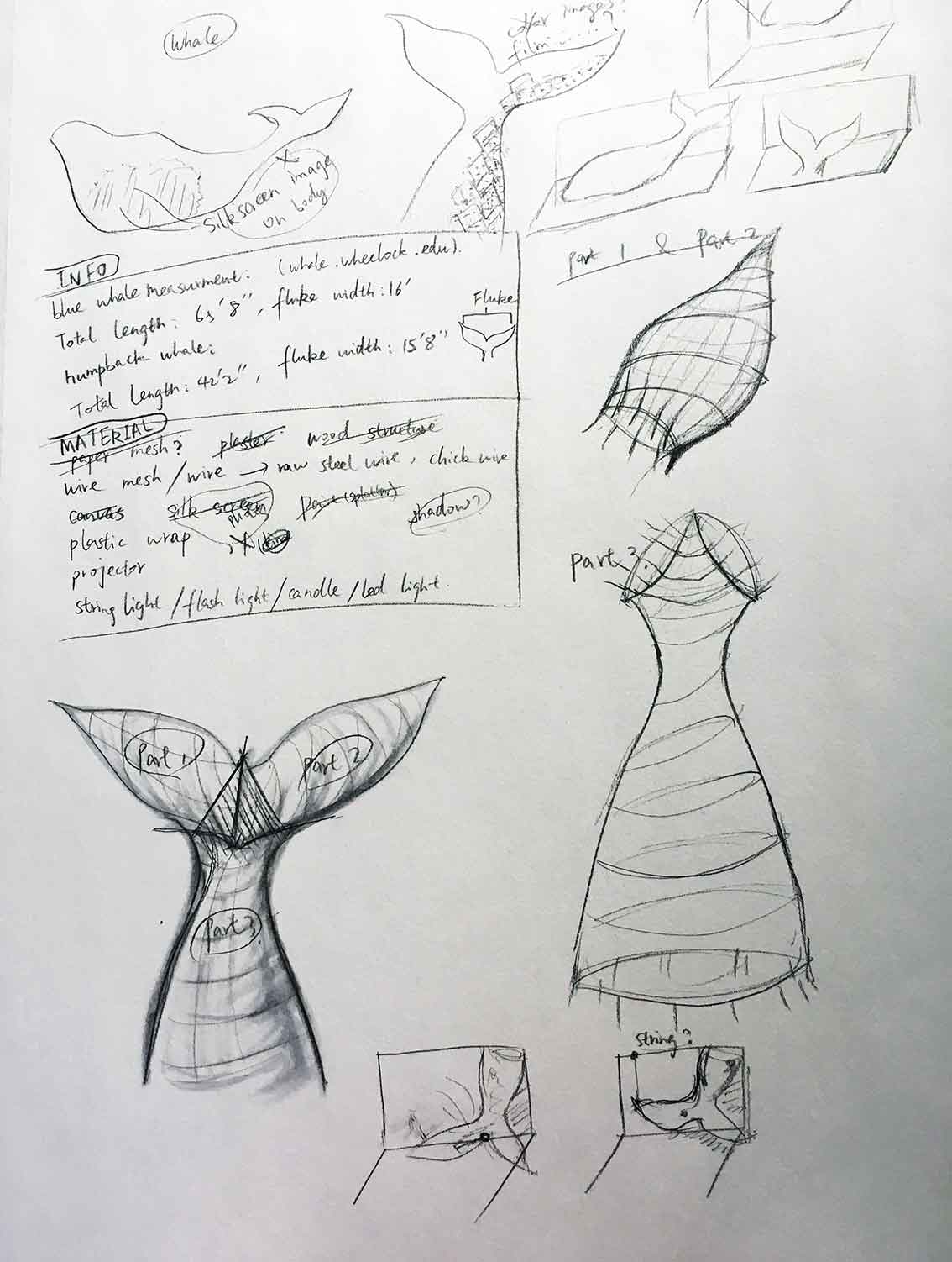 whalesketch